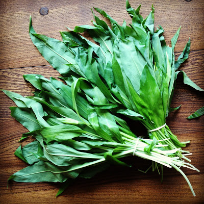 roasted cod with wild garlic