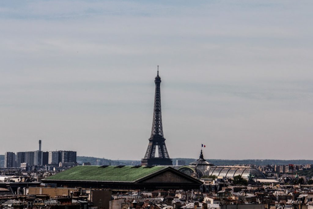 Paris in the Spring – Part 2