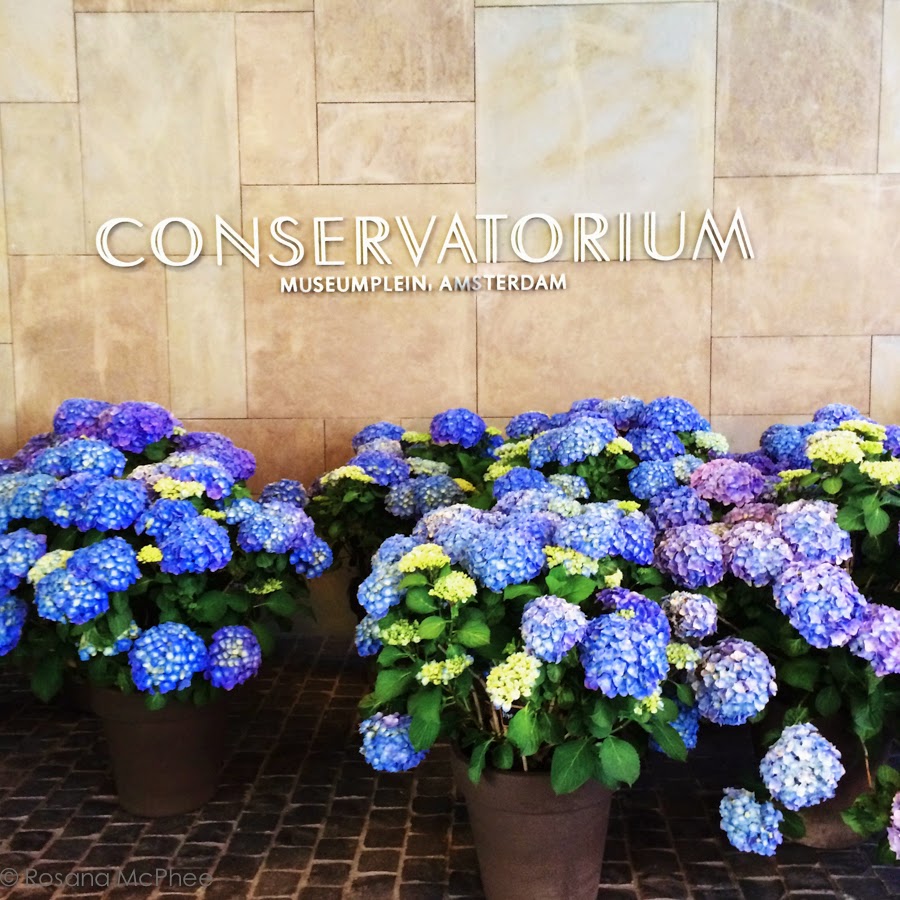 Amsterdam, Chef Schilo at Tunes and Conservatorium Hotel