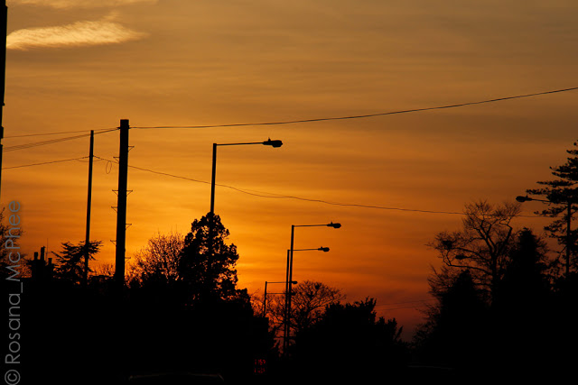 Discovering Wiltshire: Devizes, Ramsbury and Marlborough