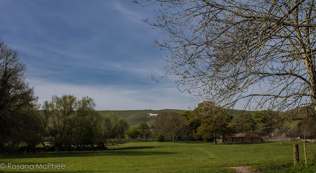 Wiltshire in the Spring