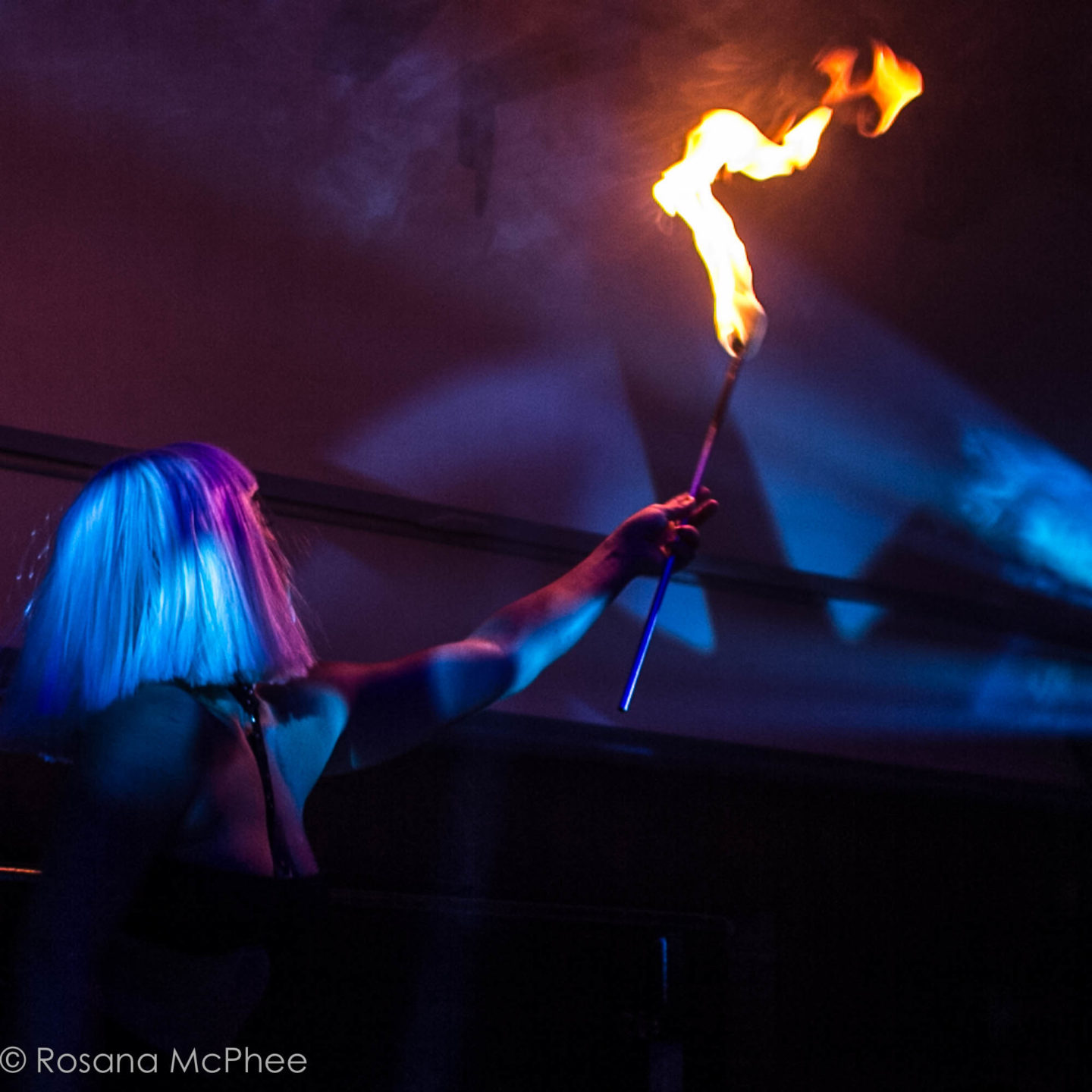 The entertainment at Circus - aerialists to fire-eaters, dancers to drag and more... The entertainment at Circus - aerialists to fire-eaters, dancers to drag and more...