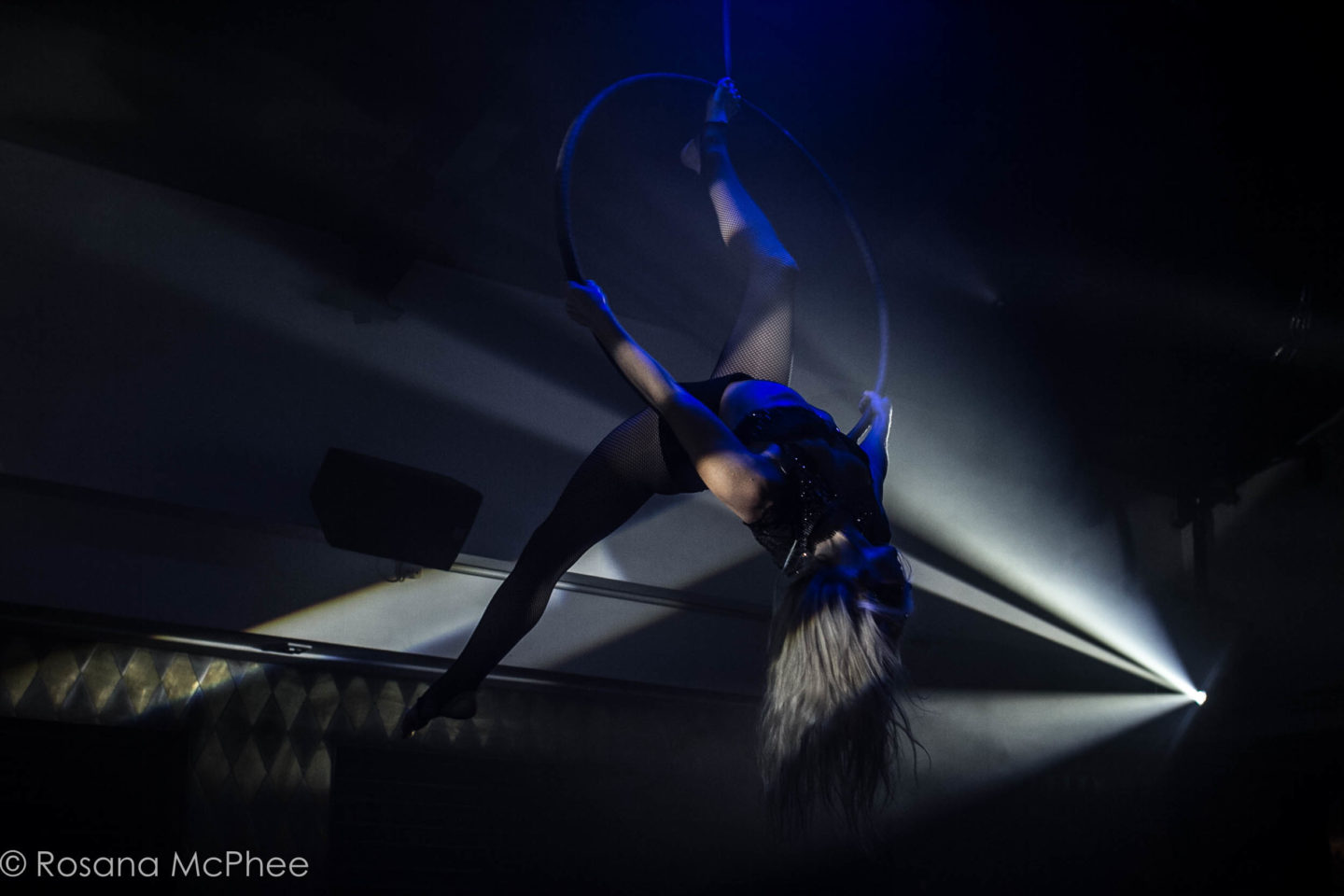 The entertainment at Circus - aerialists to fire-eaters, dancers to drag and more... The entertainment at Circus - aerialists to fire-eaters, dancers to drag and more...