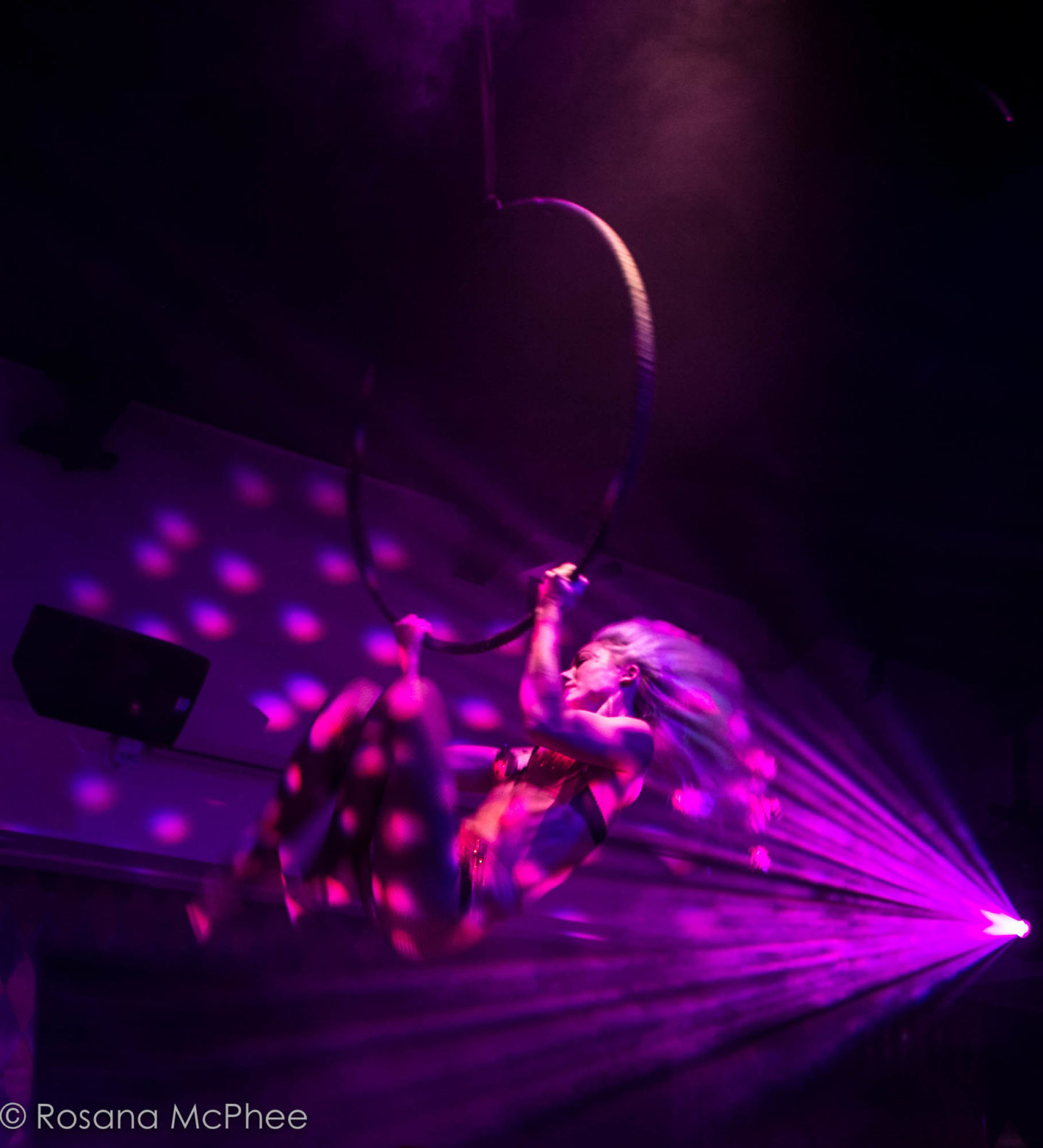 The entertainment at Circus - aerialists to fire-eaters, dancers to drag and more... The entertainment at Circus - aerialists to fire-eaters, dancers to drag and more...