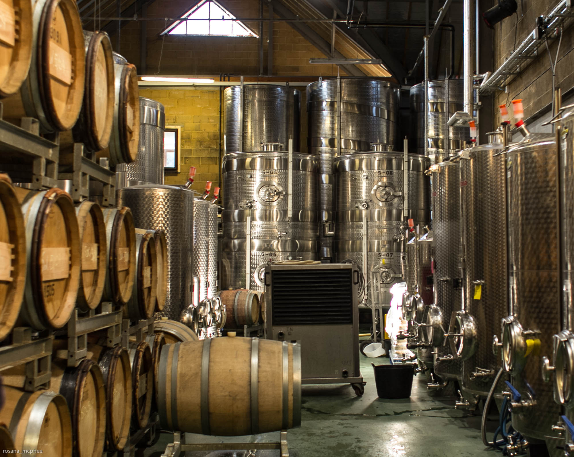 Denbies Wine Estate making english sparkling wines