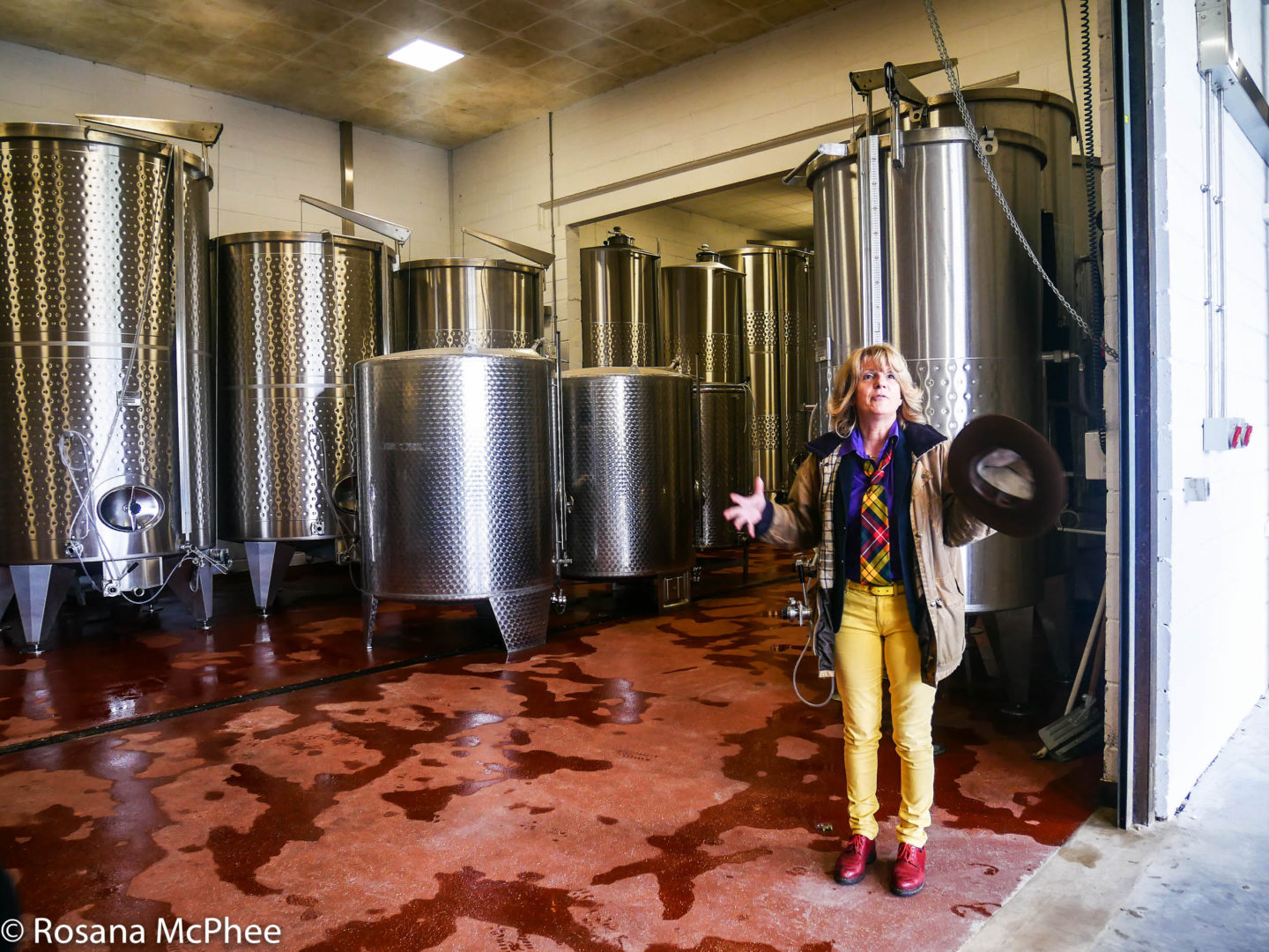Corinne Seely at Exton Park Vineyard