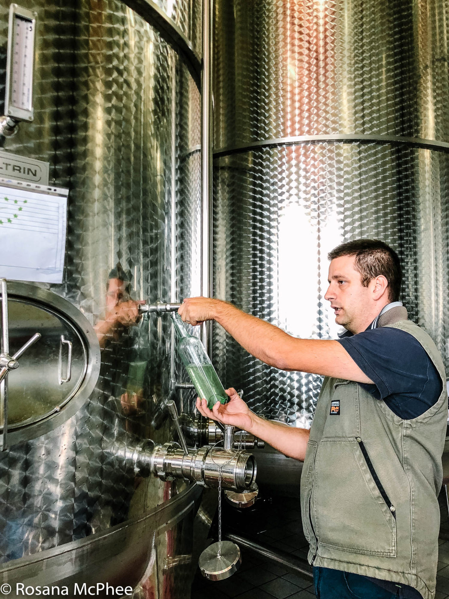 Prosecco first fermentation