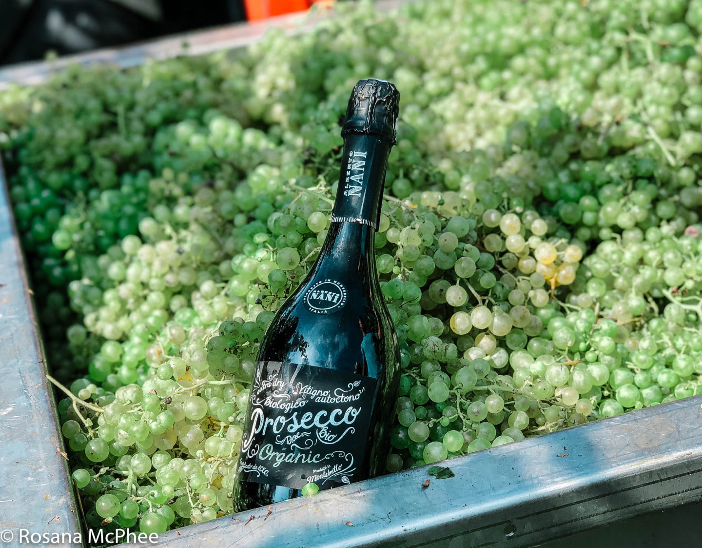 Alberto Nani Organic Extra Dry Prosecco DOC